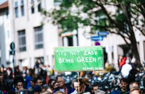 Cursos Ciencias Politicas