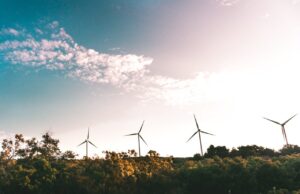 Cursos Sostenibilidad