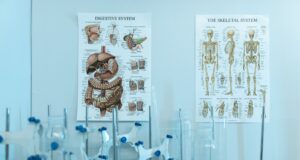 Cursos Enfermedades y Trastornos