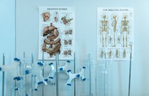 Cursos Enfermedades y Trastornos