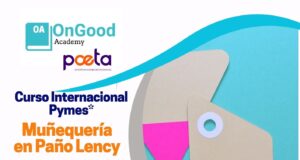 Curso: Muñequería con Énfasis en Paño Lency para Manualistas